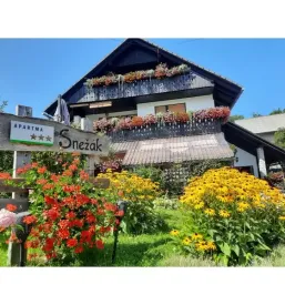 Apartmaji v bohinjski bistrici