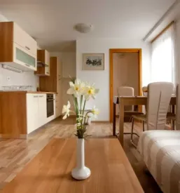 Apartments in nature velika planina central slovenia region