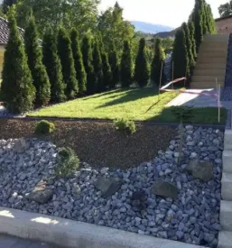 Balkonsko cvetje savinjska