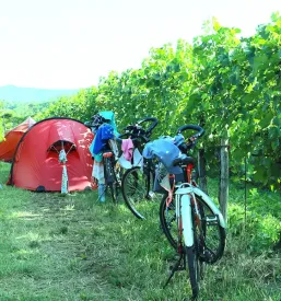 Camp Saxida