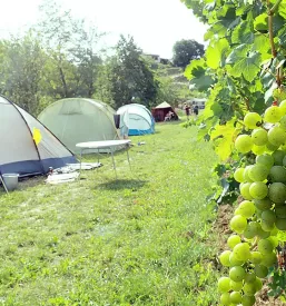 Camp Vipava Valley