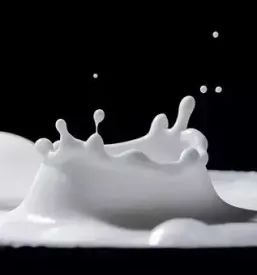 Dairy cooperative slovenia