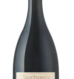 Degustacija olivnega olja Primorska