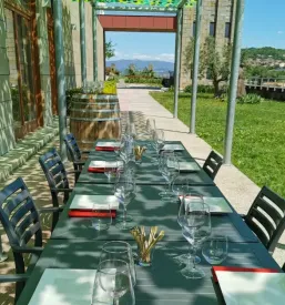 Degustacija oljcnega olja primorska