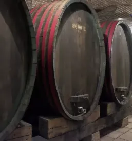 Rezervacija degustacije vin Kras