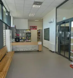 Veterinar za konje Slovenska Bistrica