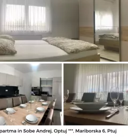 Dober apartma na Podravskem