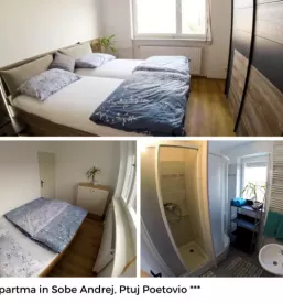 Dober apartma v Podravski regiji