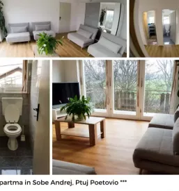 Dober apartma Podravska
