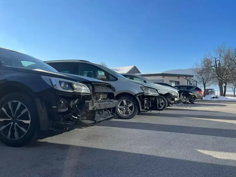 Ugoden in dober avtoklepar Videm Dobrepolje