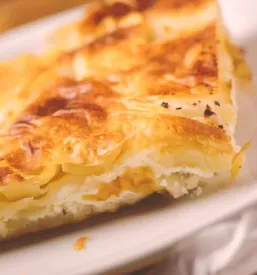 Dober burek ljubljana siska