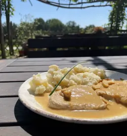 Gostilna na jasi Prekmurje z okolico