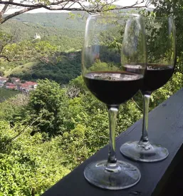 Domača hrana v Brdih, Slovenija