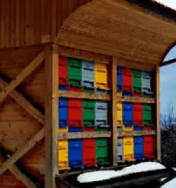Domaci med v sloveniji