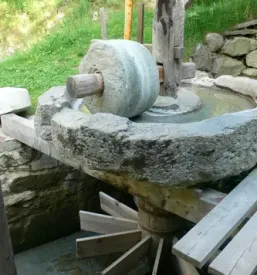 Ekoloska in navadna krmila evita