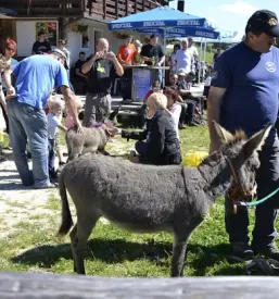 Ekoturizem za otroke Gorenjska
