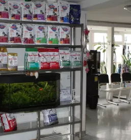 Endoskopija in kirurgija za pse in mačke Slovenija