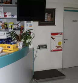 Endoskopija in kirurgija za pse in mačke