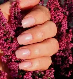 Gelish nohti kranj