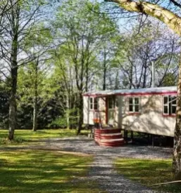 Glamping stajerska