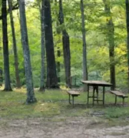 Glamping stajerska