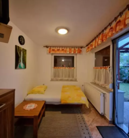 Good apartment tolmin