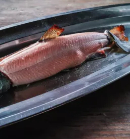 Gostilna skarucna