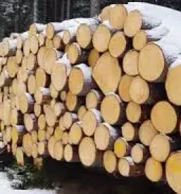 Gozdarske storitve Ljubljana, Osrednja Slovenija