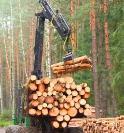 Gozdarske storitve podravje pomurje