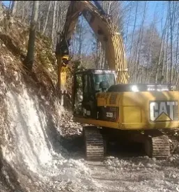Gozdne vlake slovenija