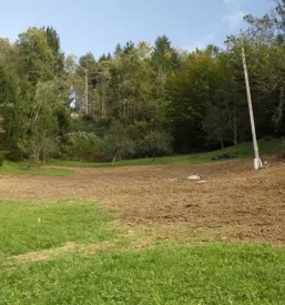 Gozdne vlake slovenija