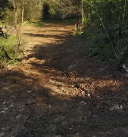 Gozdne vlake slovenija