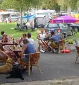Camping in Ljubljana
