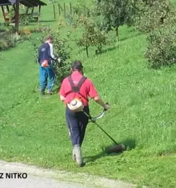 Hisniska dela podravska