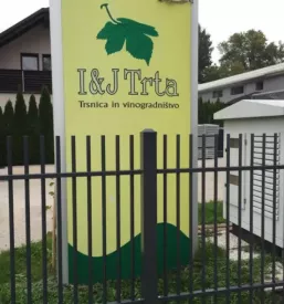 Hochwertige pfropfreben Preis