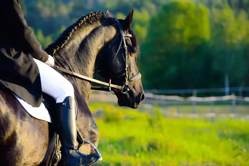 Riding school Bled