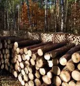 Izkopi za kanalizacijo notranjska