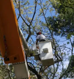 Izposoja in najem dviznih ploscadi in kosar savinjska