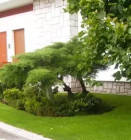 Izvedba razprsilnih namakalnih sistemov v sloveniji