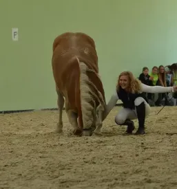 Jahanje konj za otroke Žalec