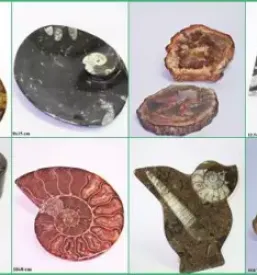Jewelry mineral fossil slovenia