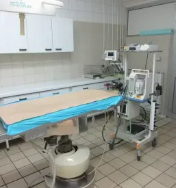 Klinika za male živali goriška