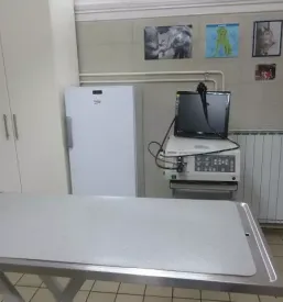 Klinika za male živali goriška