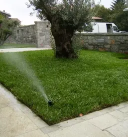 Kapljicni namakalni sistemi slovenija