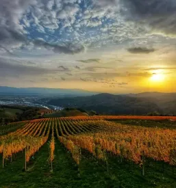 Klet krsko