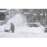 STORITVE S KMETIJSKO IN GOZDARSKO MEHANIZACIJO, VIDOVIČ MARTIN S.P.