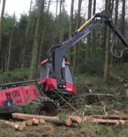 Komunalne storitve ptuj