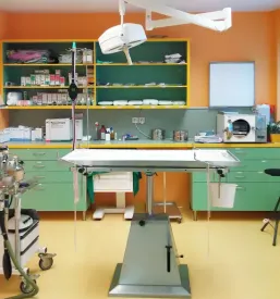 Ugoden veterinar v Ljubljani