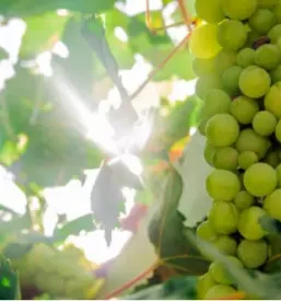 Kvalitetna kletarska oprema slovenija
