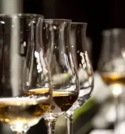 Kvalitetna vina Vipava, Vipavska dolina